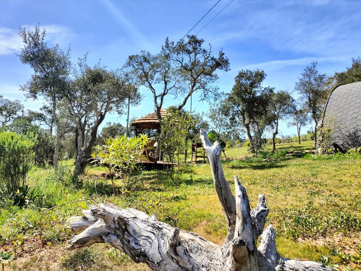 Holiday home A Baleia, Bungalow De Charme Aljezur Portugal